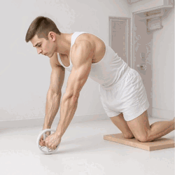 Ab Roller