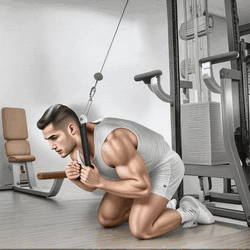 Abdominal Kneeling Cable Crunch