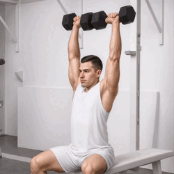 Arnold Press
