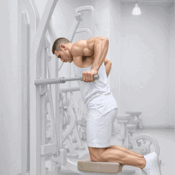Assisted Parallel Bar Dips