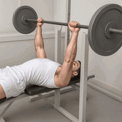 Barbell Bench Press