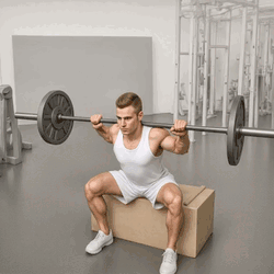 Box Squat