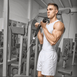 Cable Hammer Bicep Curl