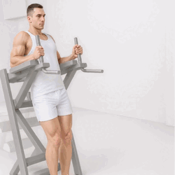 Captain's Chair Leg Raises