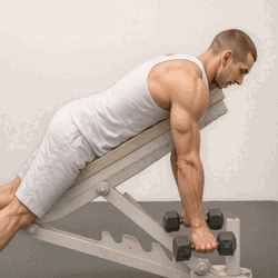 Chest Supported Dumbbell Row