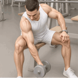 Dumbbell Concentration Bicep Curls