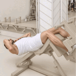Bench Decline Abdominal Crunch