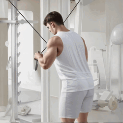 Dual Cable Triceps Extension