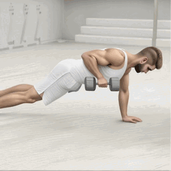 Dumbbell Plank Row