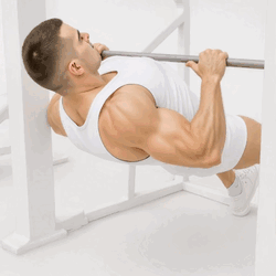 Inverted Row