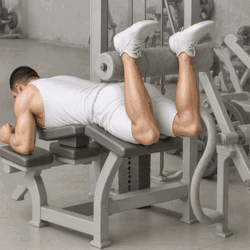 Machine Lying Leg Curls