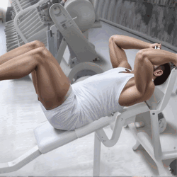 Machine Lying Abdominal Crunch