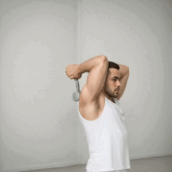Dumbbell Overhead Tricep Press