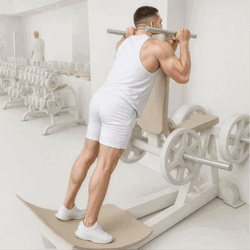 Reverse Hack Squat Machine