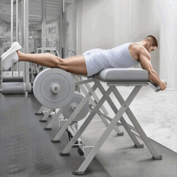 Reverse Hyperextension Machine