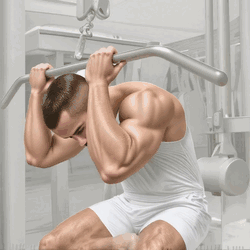 Abdominal Seated Cable Crunch