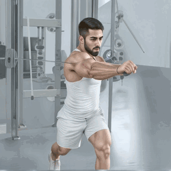 Single-Arm Cable Chest Press