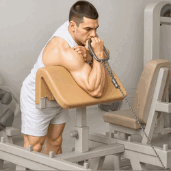 Single Arm Cable Preacher Curls