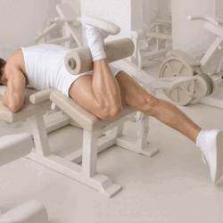 Single-Leg Machine Lying Leg Curl