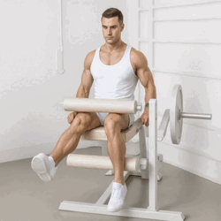 Single-Leg Machine Seated Leg Curl