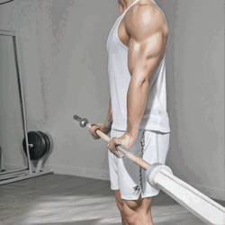 Standing Barbell Wrist Curls