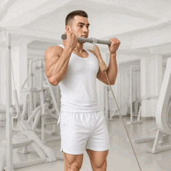 Standing Biceps Cable Curl