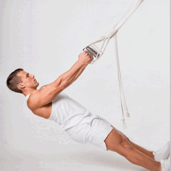 Suspension Rudern