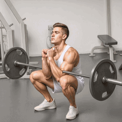 Zercher Squats